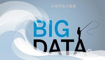 大數(shù)據(jù)服務(wù)的崛起 機遇、挑戰(zhàn)與深遠影響